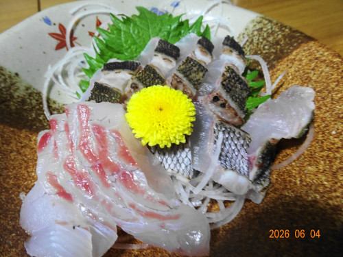 DSC04166.JPG
