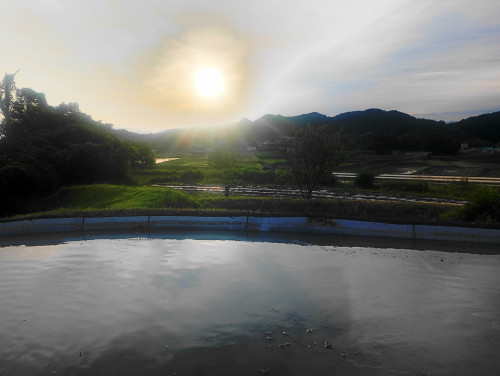 IMG_20260606_052907536_HDR.jpg