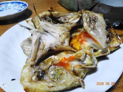DSC04201.JPG