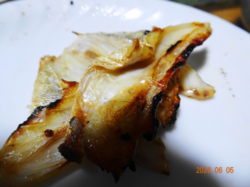 DSC04200.JPG
