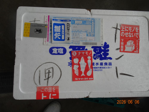 DSC04217.JPG