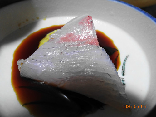 DSC04223.JPG