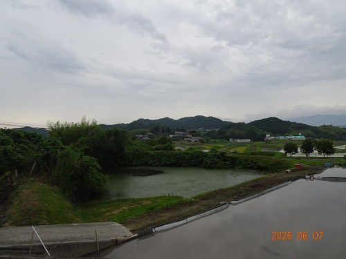 DSC04224.JPG
