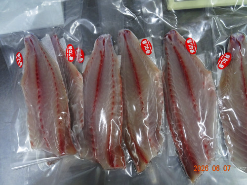 DSC04227.JPG