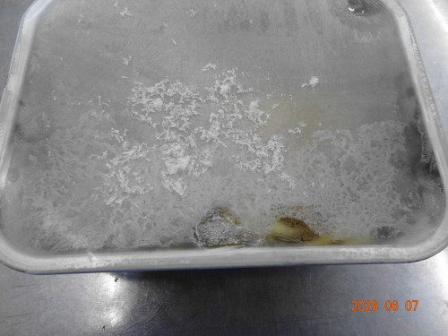DSC04234.JPG