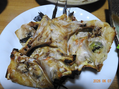 DSC04242.JPG