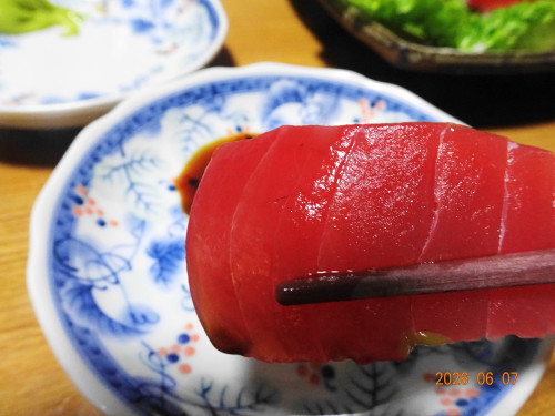 DSC04246.JPG