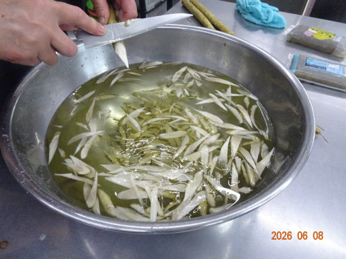 DSC04259.JPG