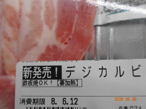 DSC04258.JPG