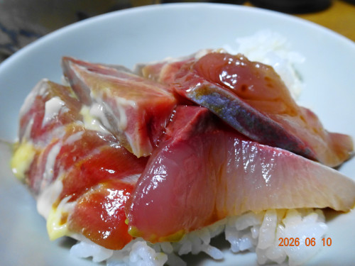 DSC04449.JPG