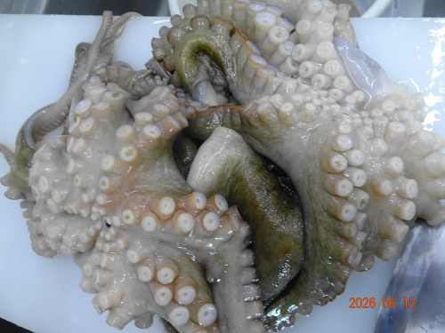 DSC04490.JPG