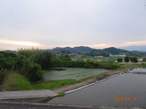 DSC04526.JPG
