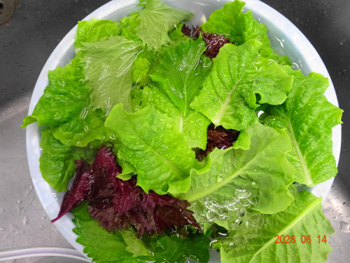 DSC04528.JPG