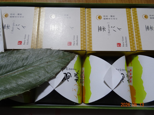 DSC04522.JPG