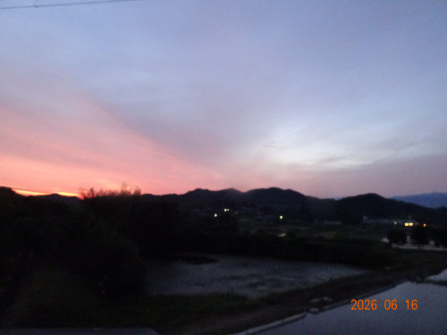 DSC04584.JPG