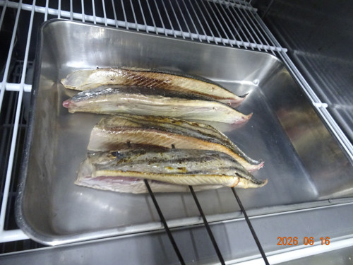 DSC04607.JPG