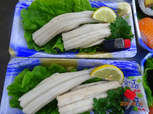DSC04633.JPG