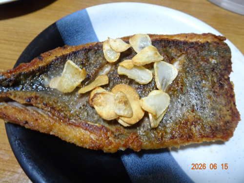 DSC04579.JPG