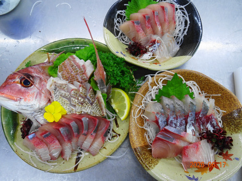 DSC04678.JPG