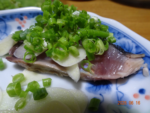 DSC04651.JPG