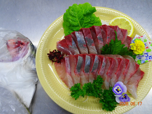 DSC04682.JPG