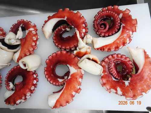 DSC04706.JPG
