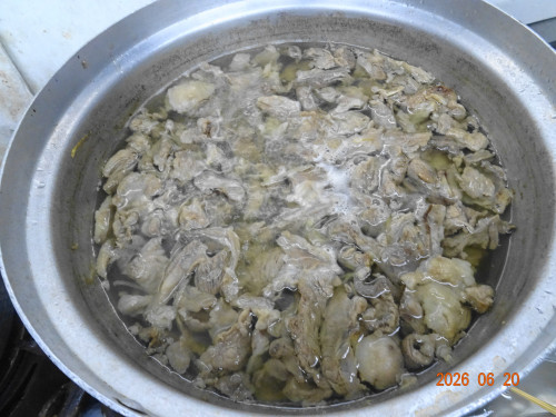 DSC04731.JPG