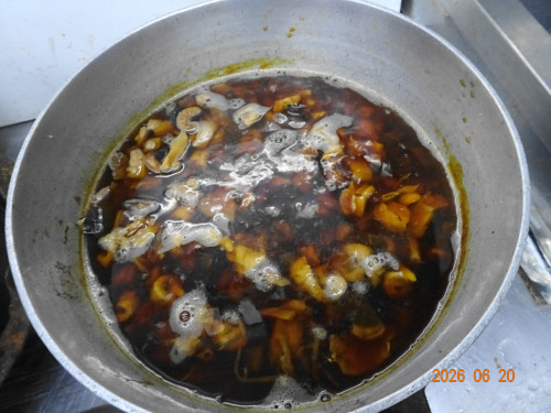 DSC04732.JPG