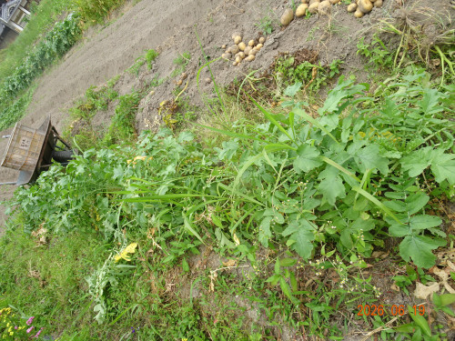 DSC04709.JPG