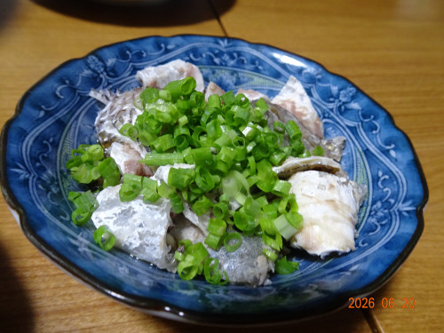 DSC04741.JPG