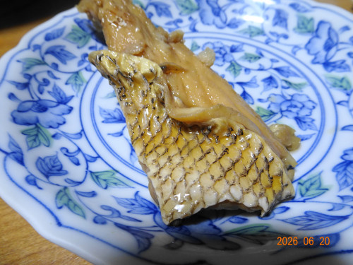 DSC04747.JPG