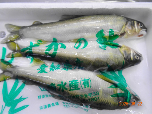 DSC04763.JPG