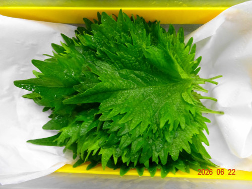 DSC04767.JPG