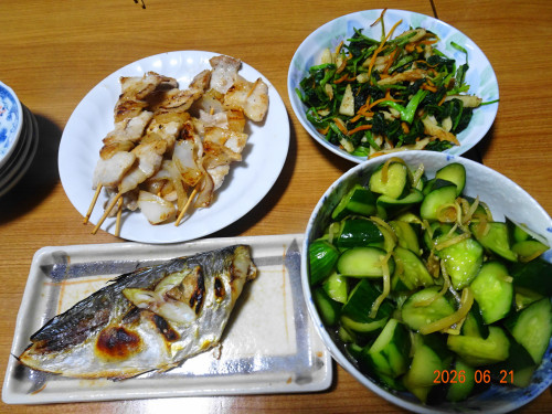 DSC04755.JPG
