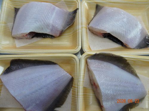 DSC04781.JPG