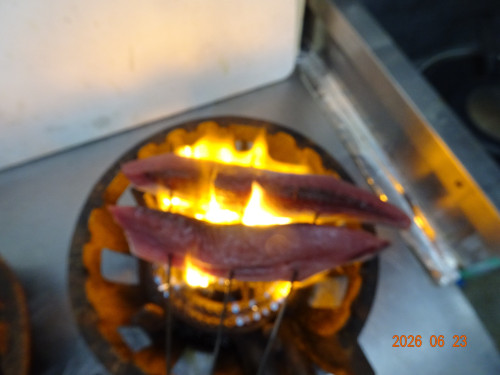 DSC04790.JPG