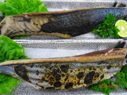 DSC04800.JPG
