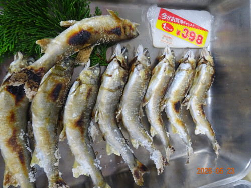 DSC04799.JPG