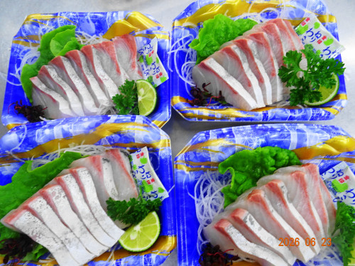 DSC04805.JPG