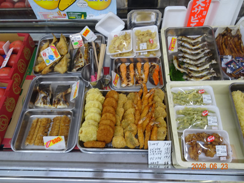 DSC04817.JPG