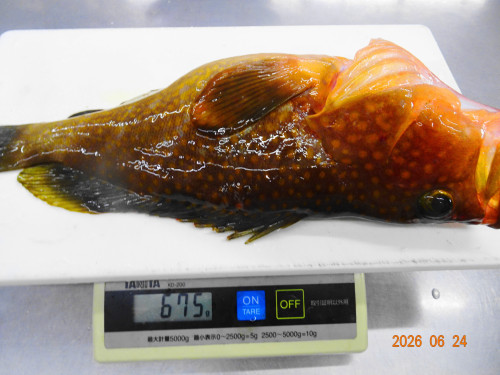 DSC04828.JPG