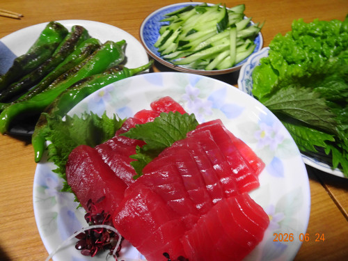 DSC04846.JPG