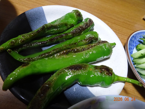 DSC04847.JPG