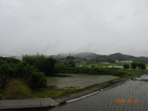 DSC04852.JPG
