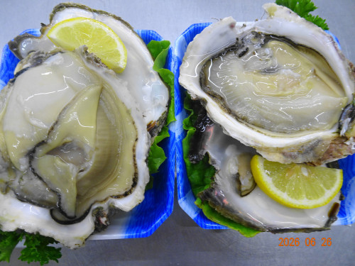 DSC04886.JPG