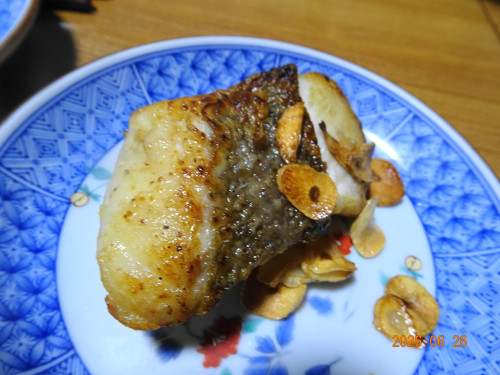 DSC04890.JPG