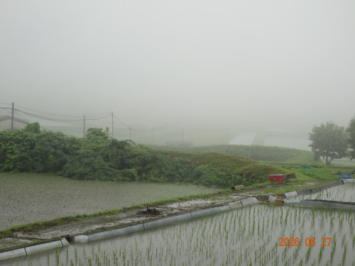 DSC04895.JPG