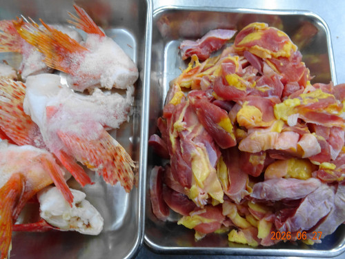 DSC04905.JPG