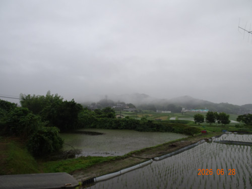 DSC04908.JPG