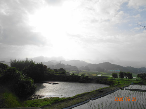 DSC04920.JPG